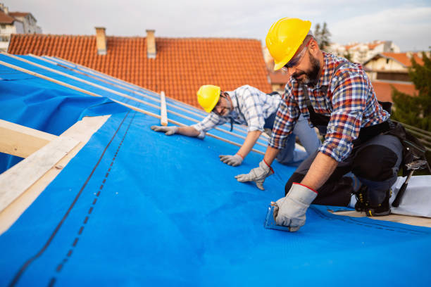 Fast & Reliable Emergency Roof Repairs in Roanoke Rapids, NC